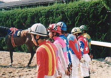 ���{�C���ʁE�R�施��